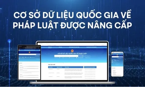 Bộ Tư pháp kiện toàn hạ tầng số, sẵn sàng tổng rà soát VBQPPL