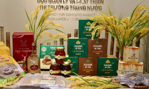 “Sức sống hàng Việt” số 5: Đưa đặc sản Hà Tĩnh đến gần người tiêu dùng Thủ đô