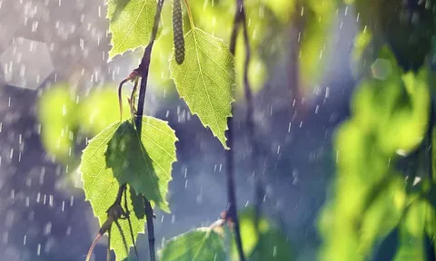 Thời tiết hôm nay (25-4): Bắc Bộ và Trung Bộ có mưa dông, Nam Bộ nắng nóng