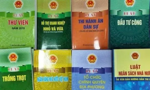 Tăng cường kỷ luật, kỷ cương trong xây dựng, ban hành văn bản quy định chi tiết luật, pháp lệnh, nghị quyết