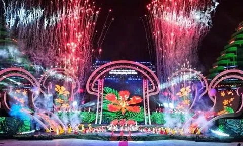 Lễ hội Hoa phượng đỏ Hải Phòng 2026: Hội tụ, tỏa sáng