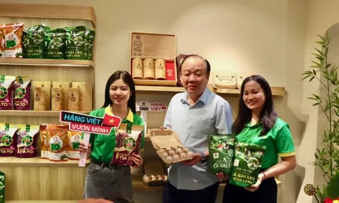 Từ truyền thống đến số hóa: Hành trình nâng tầm hàng Việt