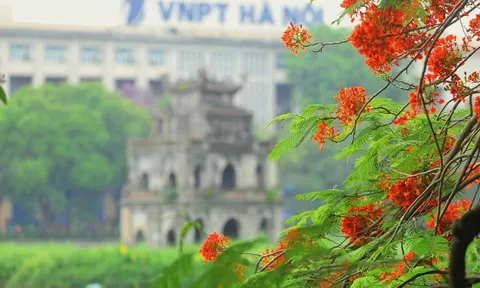 Thời tiết hôm nay (6-5): Ba miền ngày nắng, chiều tối có mưa