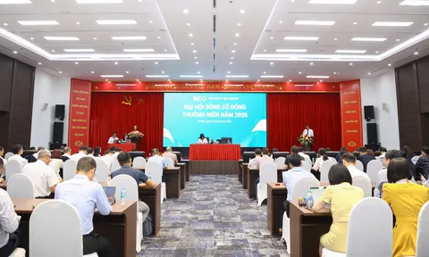 BIC ghi nhận lợi nhuận khả quan, cổ tức năm 2025 đạt 12%