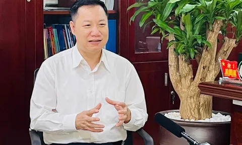 Tuyển sinh đại học sẽ ổn định đến năm 2030