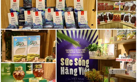 “Sức sống hàng Việt” thúc đẩy tiêu thụ đặc sản Lai Châu trên nền tảng số