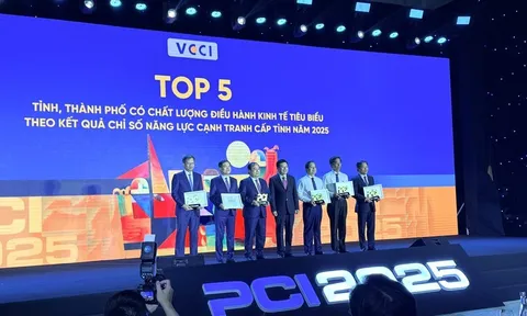 Lần đầu tiên công bố Chỉ số Hiệu quả Kinh tế tư nhân: TPHCM dẫn đầu