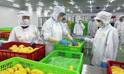 Khoa học, công nghệ là 'chìa khóa' chuyển đổi mô hình tăng trưởng nông nghiệp