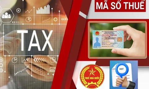 Ngành thuế mở chiến dịch 'Làm sạch mã số thuế - Tháo gỡ điểm nghẽn kinh doanh'