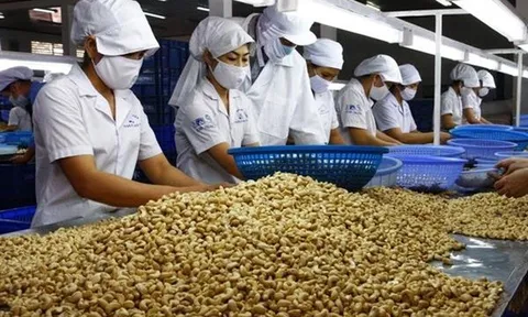 Bộ NN&MT đề xuất bãi bỏ hơn 100 văn bản không còn phù hợp