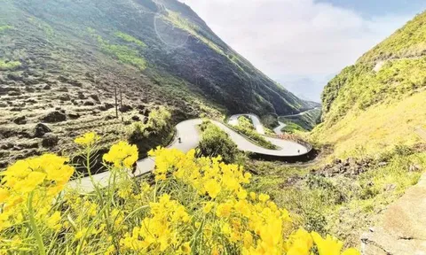 Du lịch Việt Nam trên hành trình “xanh hóa”