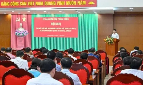 Cập nhật quy định mới của pháp luật và bồi dưỡng nghiệp vụ công tác kiểm tra, giám sát
