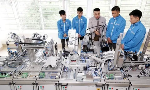Lần đầu đưa ra khái niệm "trải nghiệm nghề nghiệp tại doanh nghiệp"