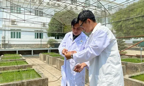 KHCN trong nông nghiệp: Chuyển từ tư duy 'làm đề tài' sang 'tạo sản phẩm'