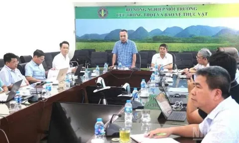 Triển khai phân cấp, phân quyền và cắt giảm thủ tục hành chính trong lĩnh vực trồng trọt, bảo vệ thực vật