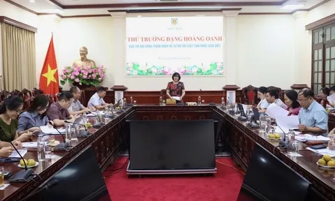 Sửa Luật Nuôi con nuôi để bảo đảm tốt nhất quyền trẻ em
