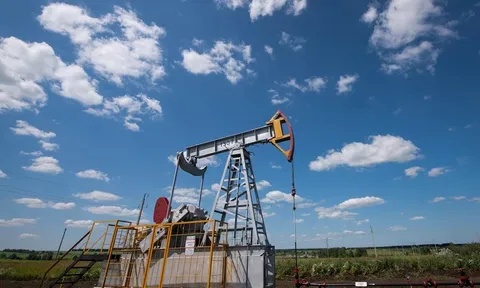 Giá xăng dầu hôm nay (11-6): Giá dầu thế giới tăng gần 2%