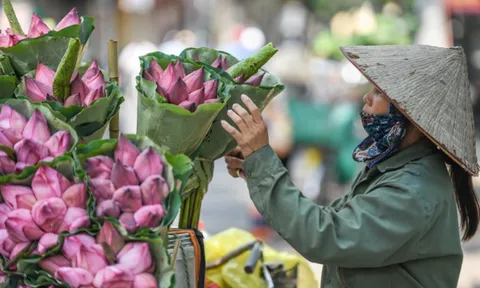 Thời tiết hôm nay (15-6): Miền Bắc ngày nắng nóng gay gắt, chiều tối đón mưa dông