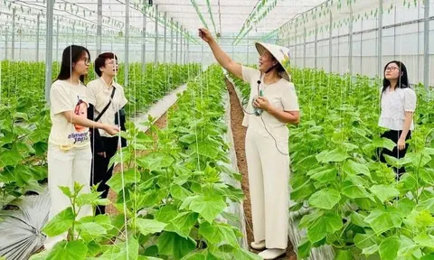 Hướng đi “xanh” của du lịch Việt