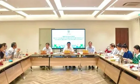 Xây dựng văn hóa tuân thủ pháp luật trong giai đoạn phát triển mới