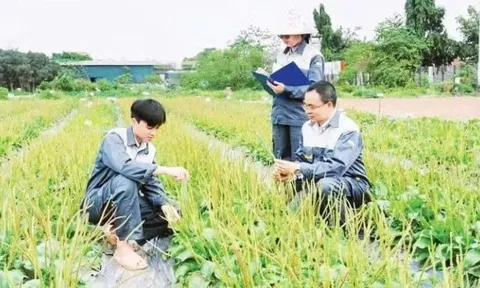 Sớm xây dựng quy trình chuẩn hóa chất lượng dược liệu