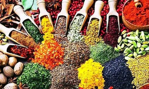 Quản lý chặt chất lượng thuốc, nguyên liệu làm thuốc