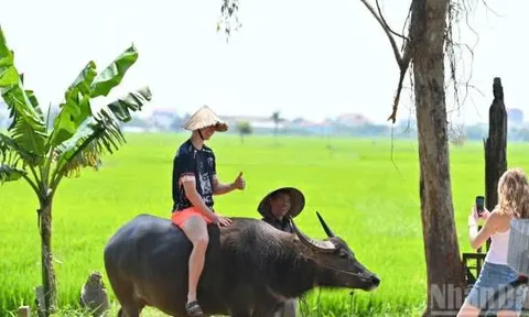 Hành trình chuyển mình mạnh mẽ của du lịch Việt Nam