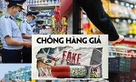 Quy chế tổ chức, hoạt động của BCĐ quốc gia chống buôn lậu, gian lận thương mại và hàng giả