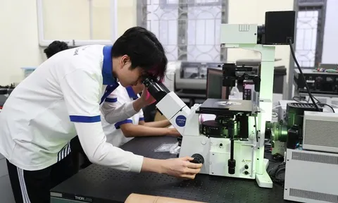 Nghị định 179 'hút' người học vào ngành khoa học, công nghệ chiến lược