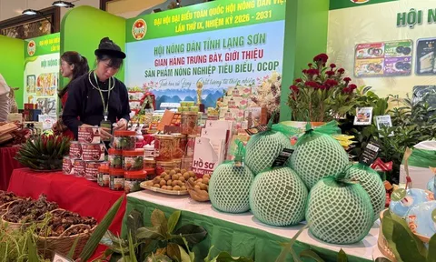Giảm chi phí thể chế, tăng sức cạnh tranh cho nông nghiệp Việt
