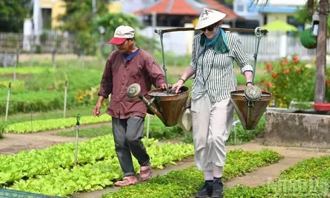 Khám phá Việt Nam trong cuộc phiêu lưu đa giác quan