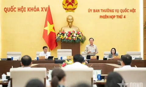 Ủy ban Thường vụ Quốc hội cho ý kiến về dự án Bộ luật Tố tụng hình sự (sửa đổi)