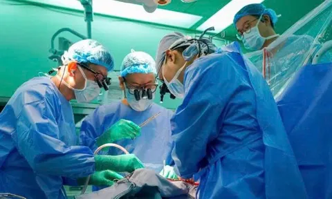 Bệnh viện Đại học Y Dược Thành phố Hồ Chí Minh thực hiện ca ghép đa tạng nối dài sự sống cho nhiều người