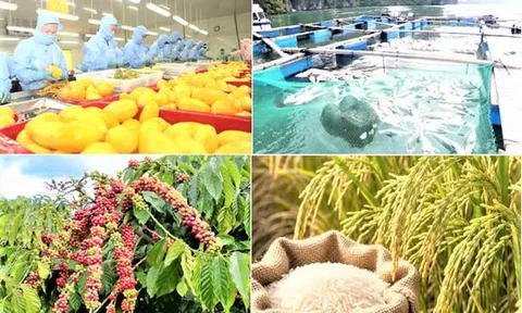 Giảm phát thải: 'Giấy thông hành' cho nông sản xuất khẩu