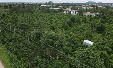 Đắk Lắk: Ban hành quy định diện tích xây dựng công trình trên đất nông nghiệp