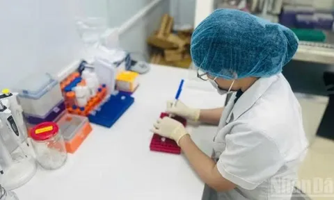 Tạo cơ sở pháp lý vững chắc cho giá trị của kết luận giám định trong xét xử hình sự