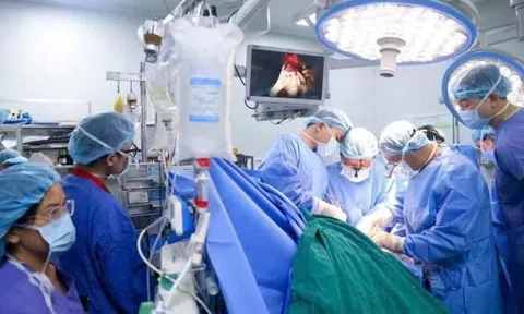 Hình thành hệ sinh thái y tế chuyên sâu quốc gia