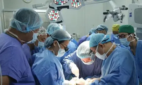 Bệnh viện Hữu nghị Việt Đức làm chủ kỹ thuật ghép mô phức hợp, mở hướng mới cho y học tái tạo