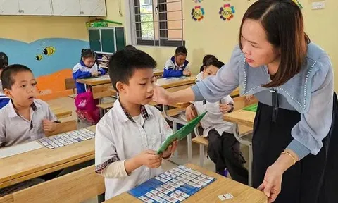 Thanh Hóa giao 4.381 chỉ tiêu hợp đồng giáo viên, nhân viên