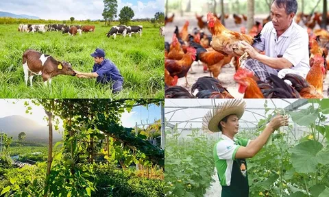 Chính sách mới có hiệu lực từ tháng 8/2026
