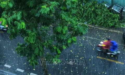 Thời tiết hôm nay (4-8): Bắc Bộ nhiều nơi có mưa to