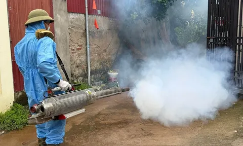 Hà Nội: Chủ động phòng, chống dịch sốt xuất huyết vào mùa cao điểm
