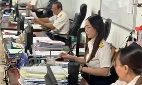 Việt Nam hoàn thiện khuôn khổ trao đổi thông tin vì mục đích thuế
