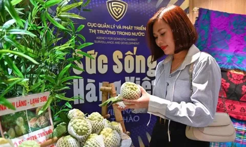 Thúc đẩy phát triển thị trường bán lẻ
