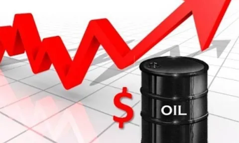 Giá xăng dầu hôm nay (18-8): Giá dầu thế giới tăng hơn 2 USD