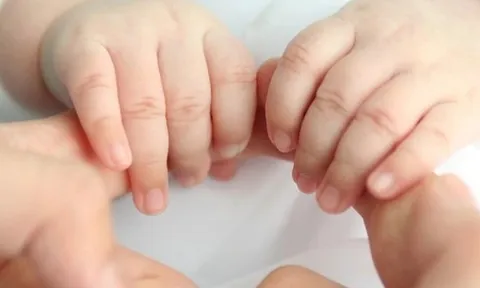 Hoàn thiện dự án Luật Nuôi con nuôi (sửa đổi)