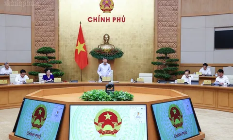 Chính phủ cho ý kiến đối với 11 dự án luật và 01 Nghị quyết