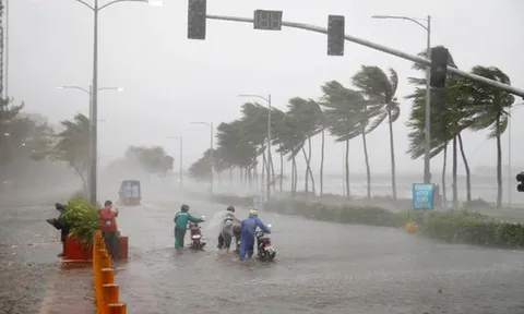 Thời tiết hôm nay (24-8): Bão số 4 cách Quảng Ninh khoảng 140km, Bắc Bộ mưa rất to