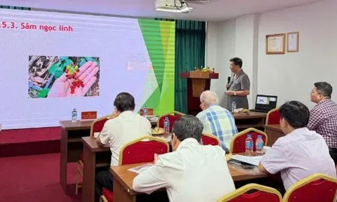 Thúc đẩy các giải pháp phát triển dược liệu tại Việt Nam