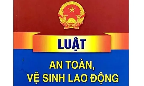 Chính phủ thông qua dự án Luật sửa đổi, bổ sung một số điều của Luật An toàn, vệ sinh lao động